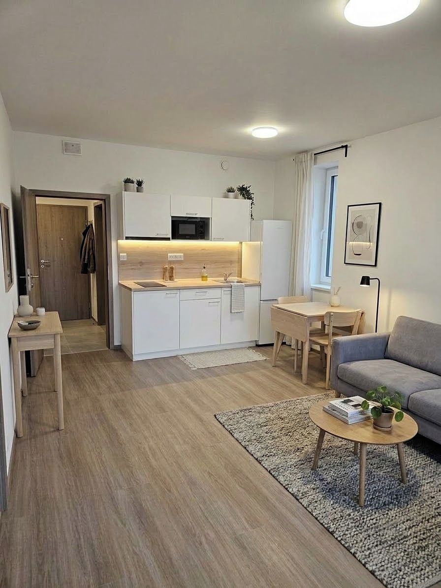 Pronájem bytu 1+kk 32 m², Plzeň – fotka 1 z 3