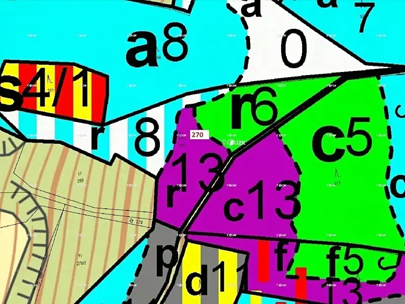 Dražba lesa 4502 m², Zálezly – náhled fotky 3