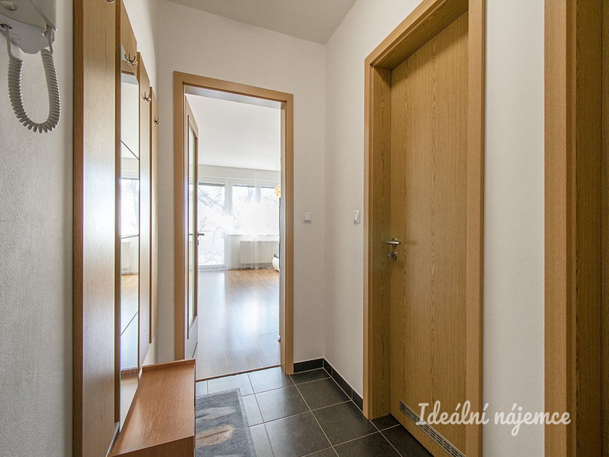 Pronájem bytu 1+kk 42 m² – fotografie 4