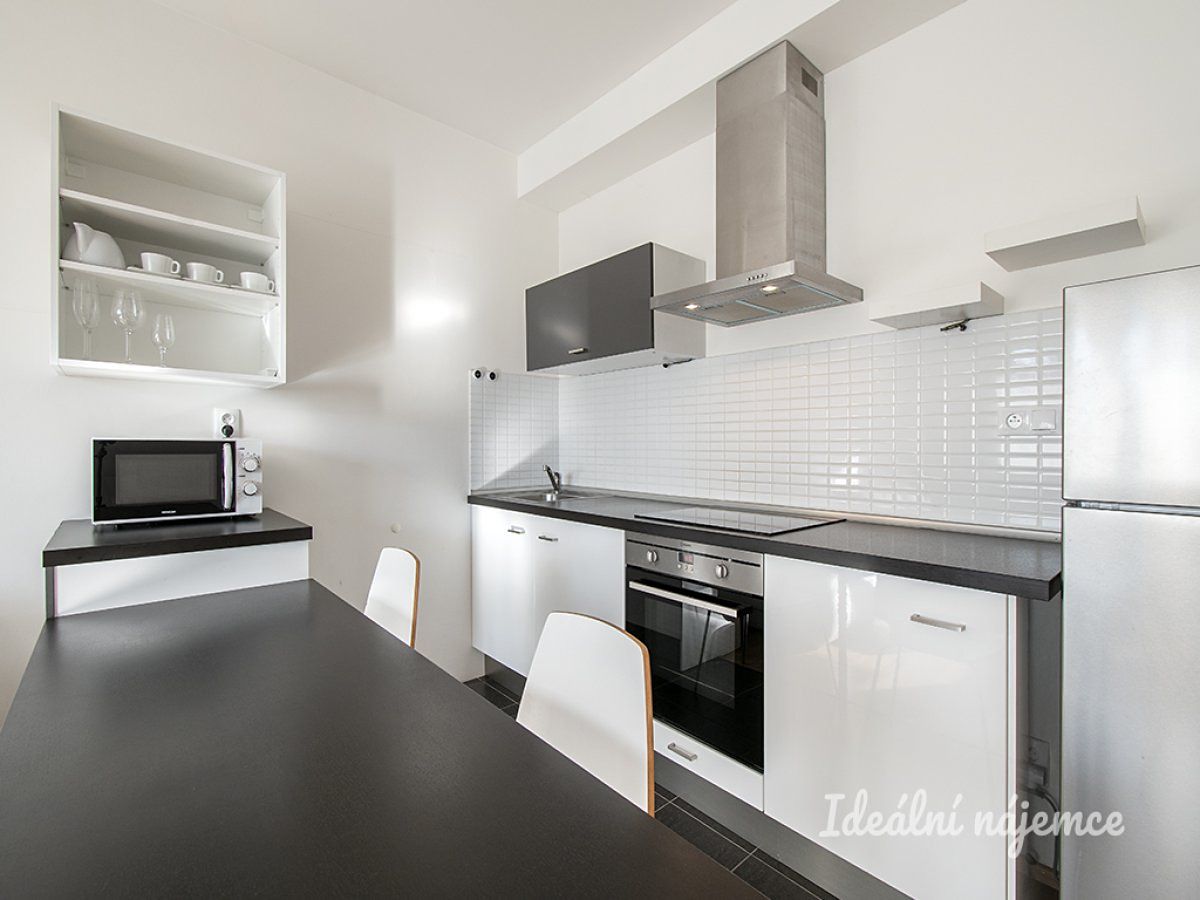 Pronájem bytu 1+kk 42 m² – fotografie 3