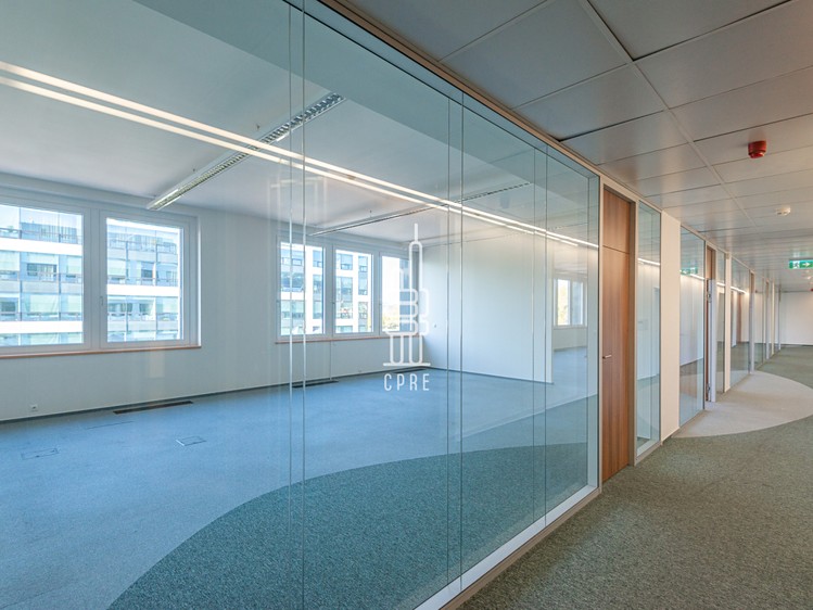 Pronájem komerčního prostoru, 458 m² (10 z 13)