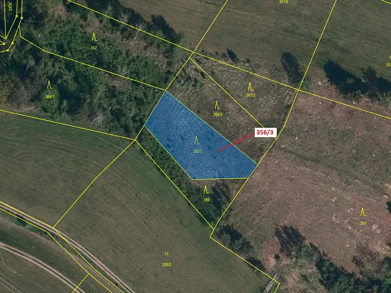Dražba lesa 1312 m², Velké Meziříčí – náhled fotky 3