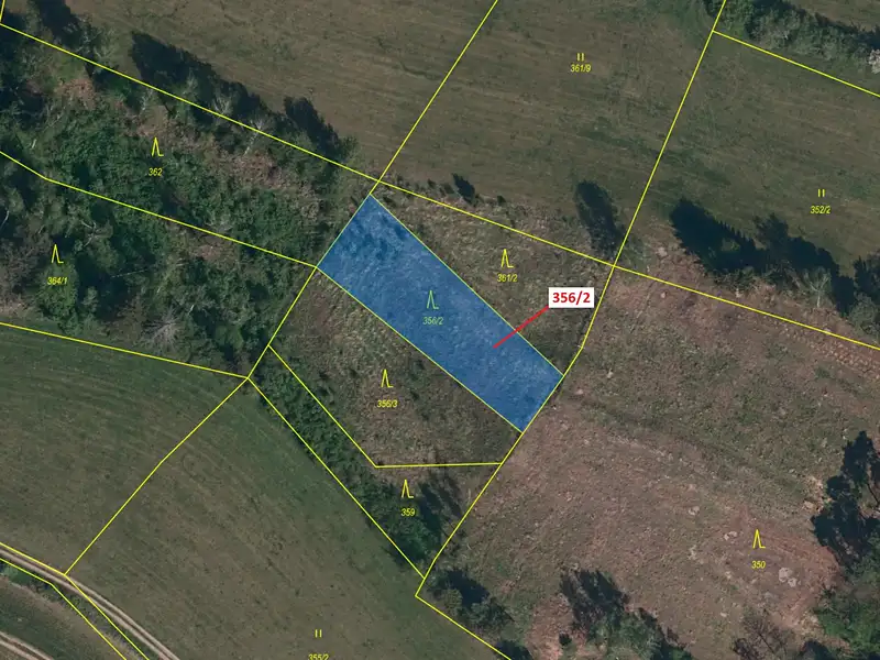 Dražba lesa 1164 m², Velké Meziříčí – náhled fotky 2