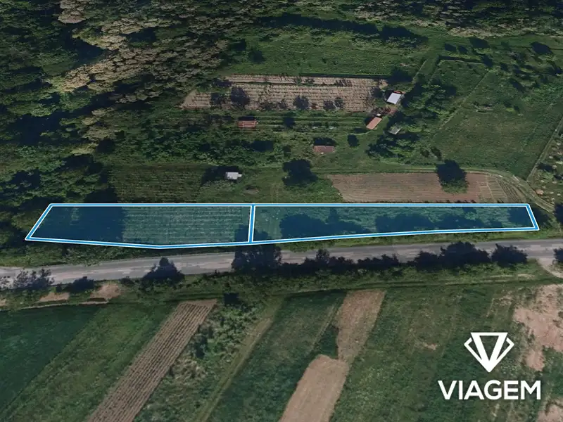 Prodej zahrady 1723 m², Šitbořice – náhled fotky 2