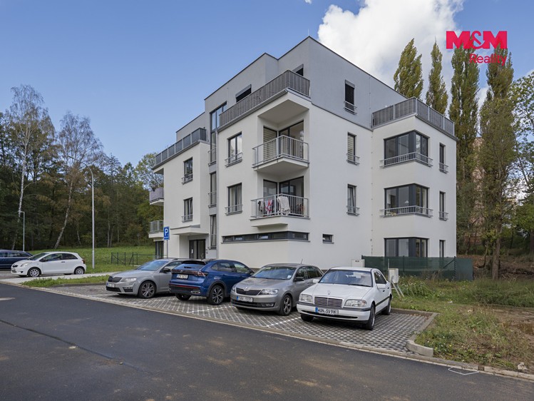 Квартира 1+kk в оренду, 41 м² (14 з 17)