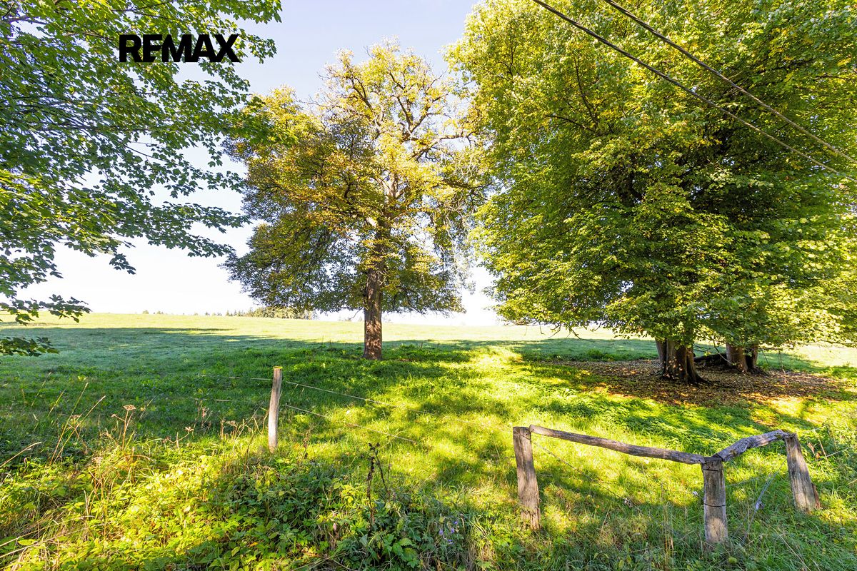 Prodej chalupy 280 m², pozemek 4759 m² – fotografie 5