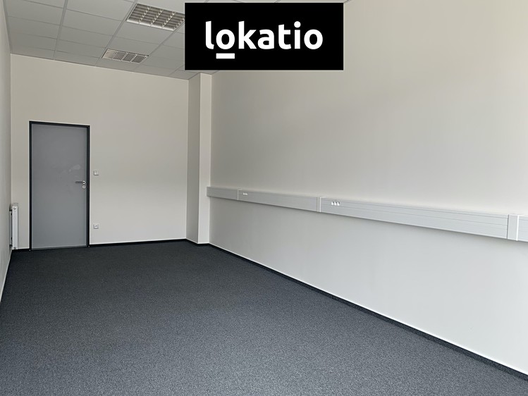Pronájem komerčního prostoru, 4 766 m² (17 z 26)