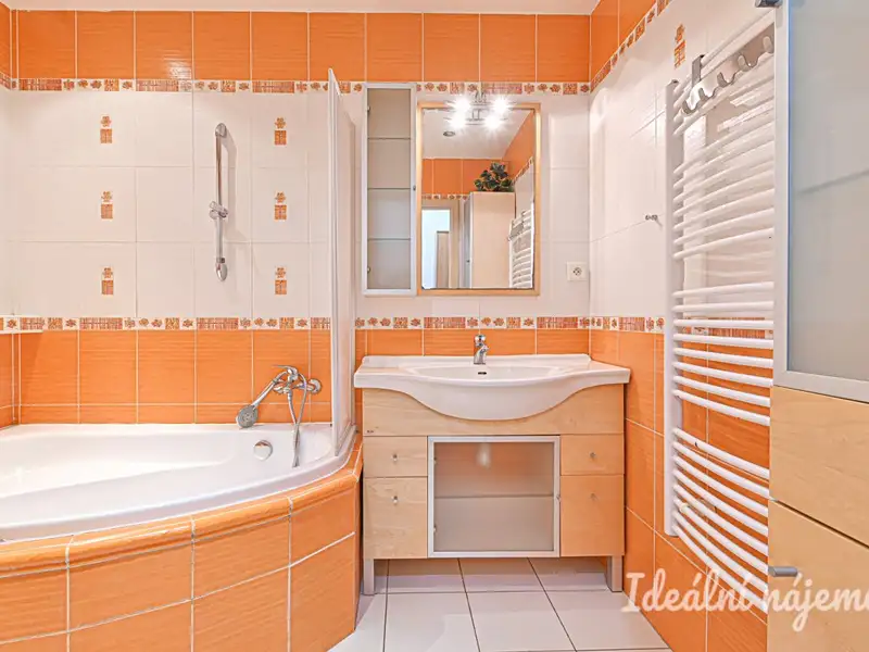 Pronájem bytu 2+1 58 m², Brno – náhled fotky 3