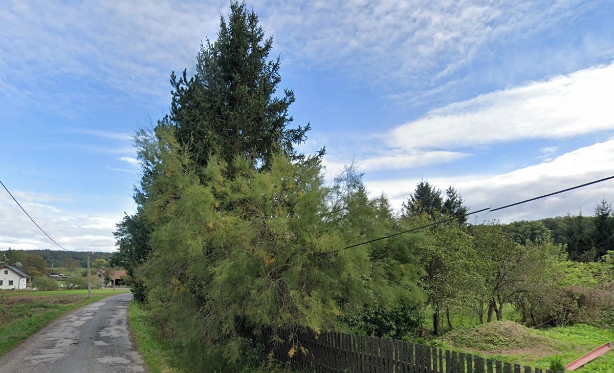 Prodej stavebního pozemku 4058 m², Sobotka – fotka 1 z 3