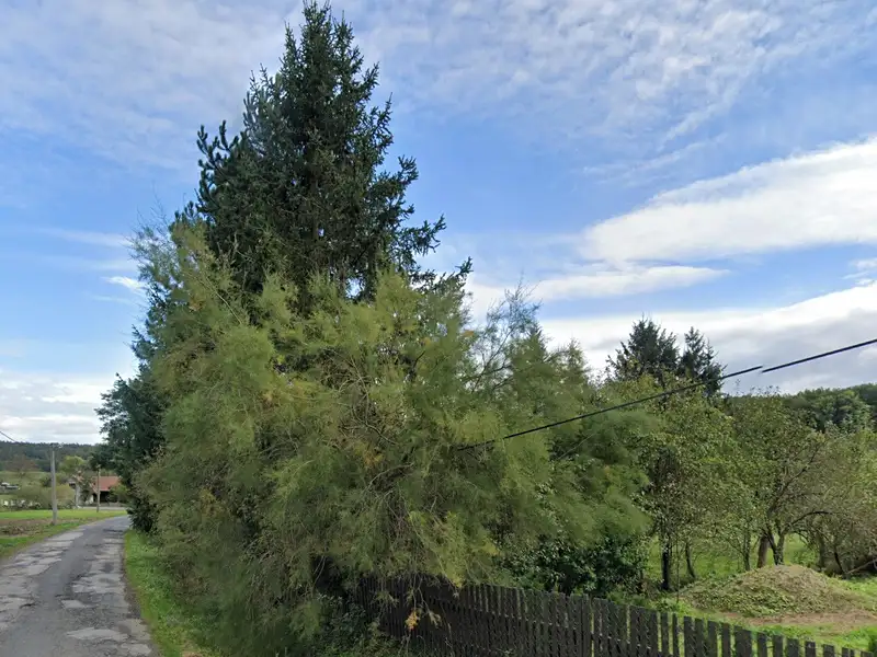 Prodej stavebního pozemku 4058 m², Sobotka – náhled fotky 1