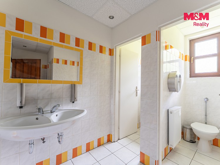 Будинок на продаж, 443 м² (23 з 30)