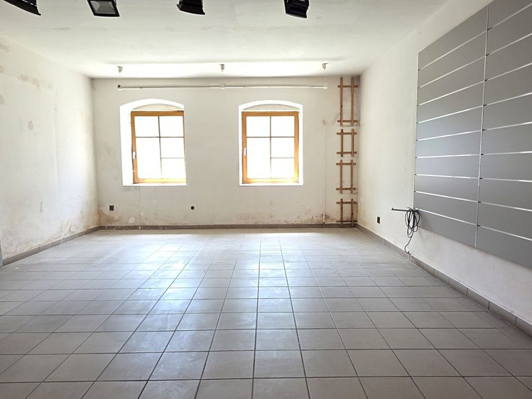 Prodej komerčního prostoru, 330 m² (9 z 22)