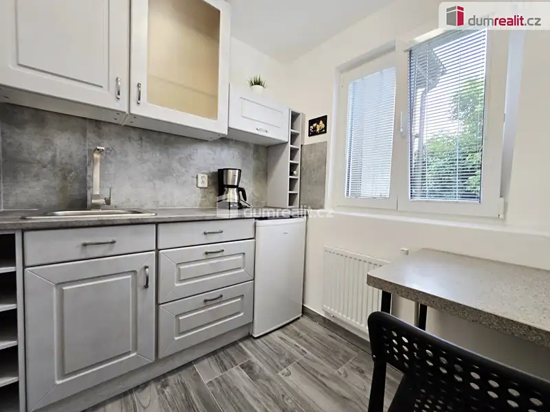 Pronájem bytu 1+kk 20 m², Lužná – náhled fotky 1