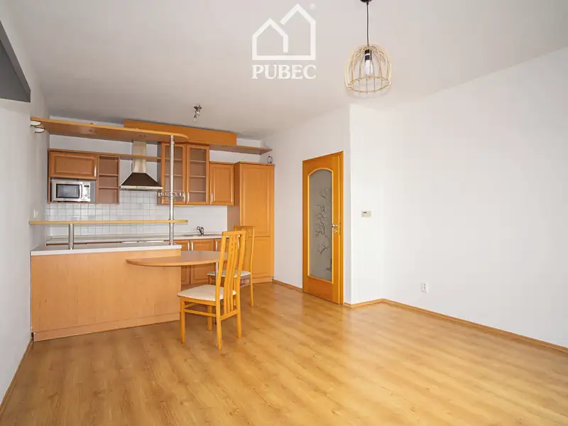 Pronájem bytu 2+kk 49 m², Plzeň – náhled fotky 2