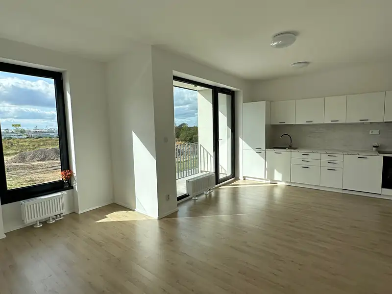 Pronájem bytu 1+kk 39 m², Plzeň – náhled fotky 3