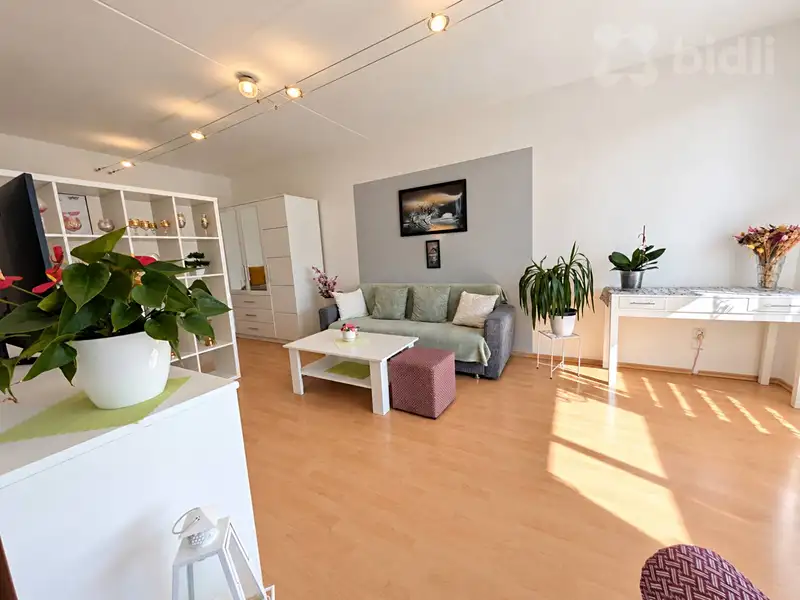 Prodej bytu 1+1 45 m², U Střelnice, Šternberk, okres Olomouc