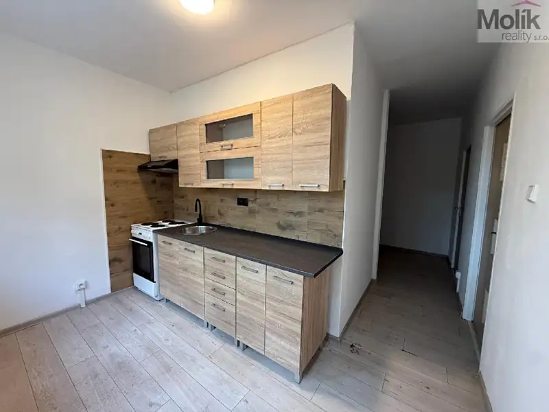 Pronájem bytu 2+1 55 m², Bílina – náhled fotky 1