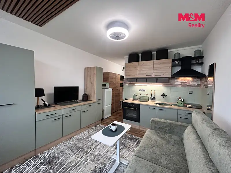 Pronájem bytu 1+kk 21 m², Ústí nad Labem – náhled fotky 2