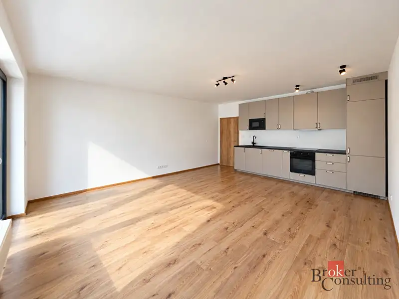 Pronájem bytu 2+kk 56 m², Plzeň – náhled fotky 2