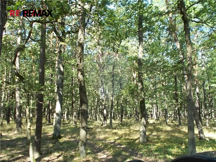 Prodej pozemku, 38 449 m² (2 z 9)