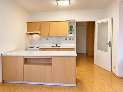 Wohnung 1+kk zur Miete, 48 m² (3 von 9)