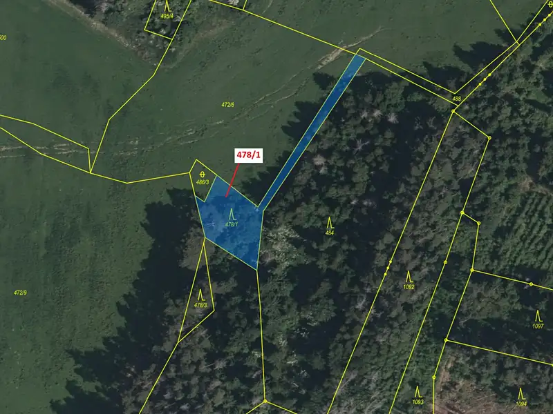 Dražba lesa 710 m², Volfířov – náhled fotky 2