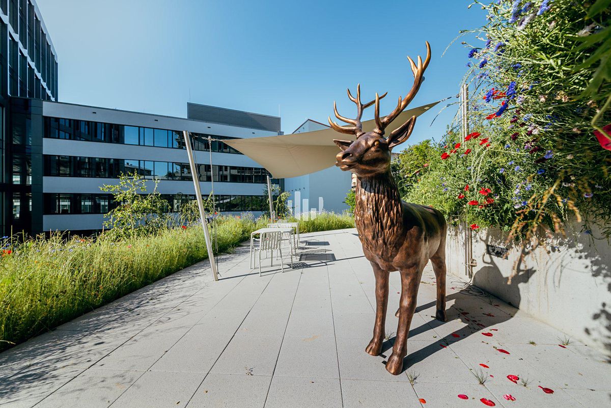 Pronájem kanceláře 1316 m² – fotografie 5
