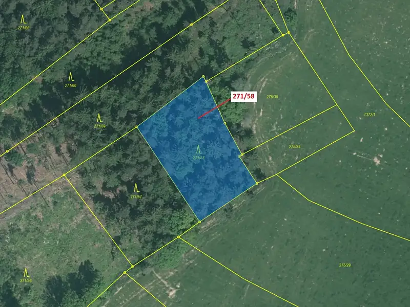 Dražba lesa 2102 m², Milavče – náhled fotky 2