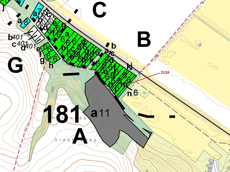 Dražba lesa 380 m², Bezměrov – náhled fotky 3