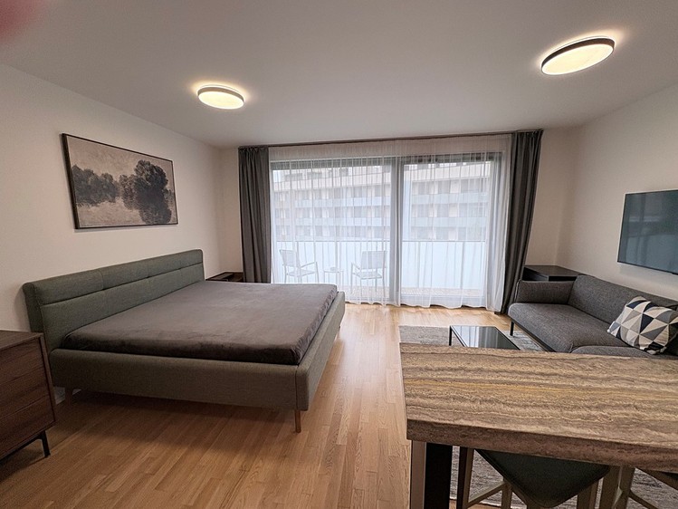 Pronájem bytu 1+kk, 45 m² (3 z 13)