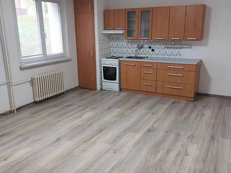 Pronájem bytu 1+kk 39 m², Odry – náhled fotky 1