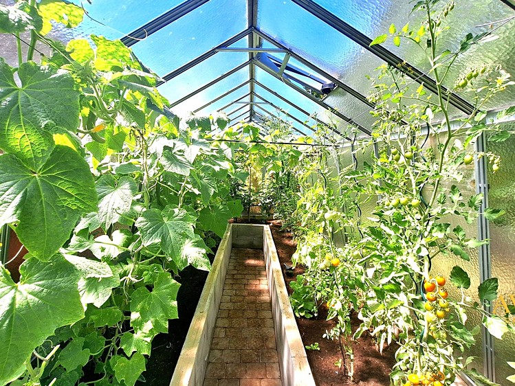 Prodej domu, 20 m² (15 z 15)