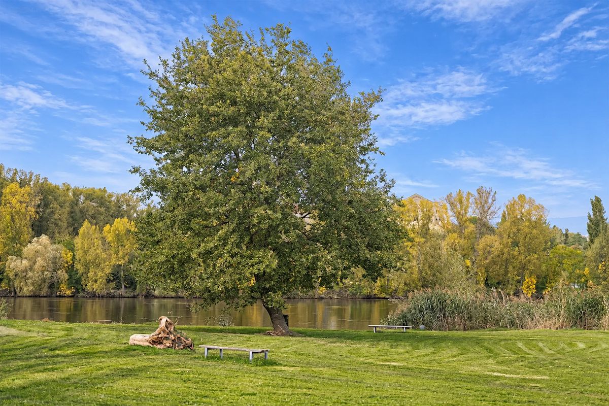 Prodej bytu 1+kk 34 m² – fotografie 5