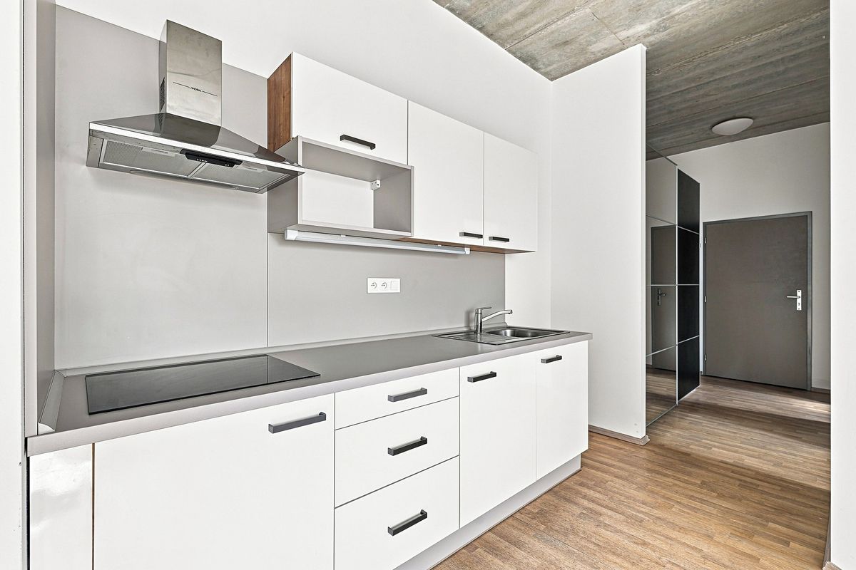 Pronájem vícegeneračního domu 1382 m², pozemek 2009 m² – fotografie 4