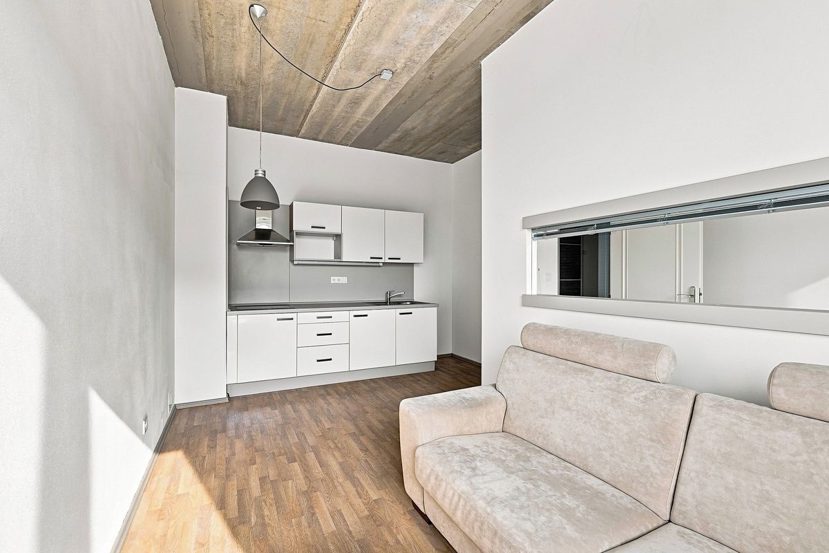 Pronájem vícegeneračního domu 1382 m², pozemek 2009 m² – fotografie 5