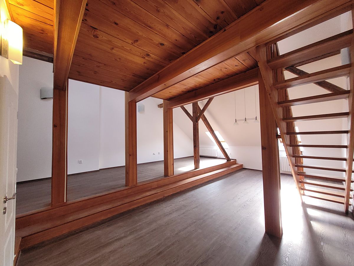 Pronájem bytu 2+1 105 m² – fotografie 4