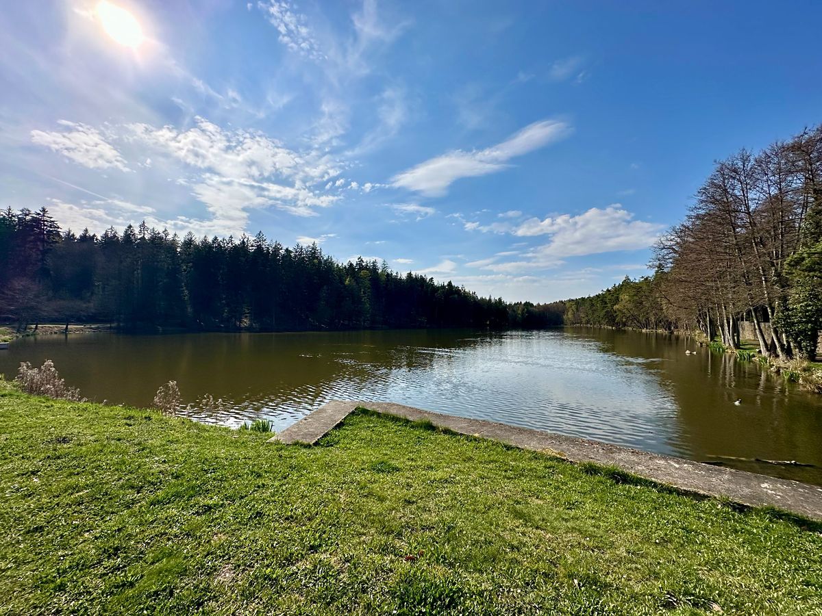 Prodej stavebního pozemku 1761 m² – fotografie 5
