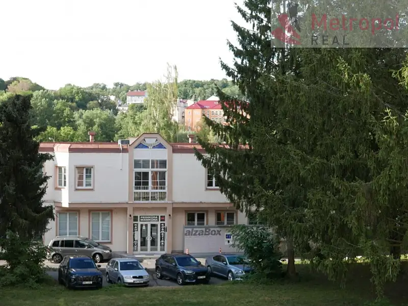 Prodej bytu 2+1 55 m², Karlovy Vary – náhled fotky 1