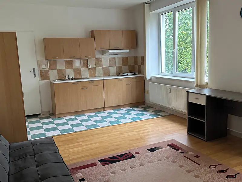Pronájem bytu 1+kk 35 m², Průhonice – náhled fotky 1