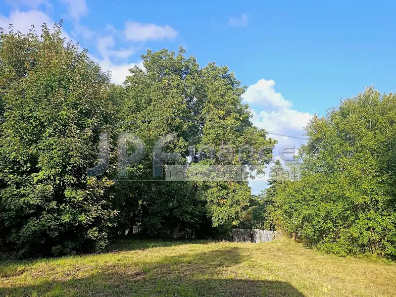 Prodej stavebního pozemku 1203 m², Planá – náhled fotky 3