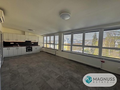 Pronájem bytu 2+kk, 40 m² (3 z 9)