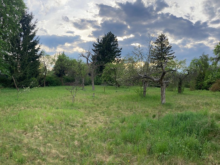 Prodej pozemku, 962 m² (9 z 27)