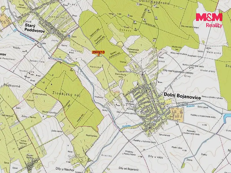 Prodej pole 300 m², Dolní Bojanovice – náhled fotky 2