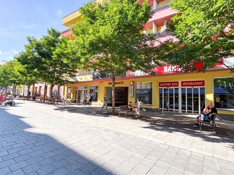 Квартира 1+kk в оренду, 44 м² (12 з 13)