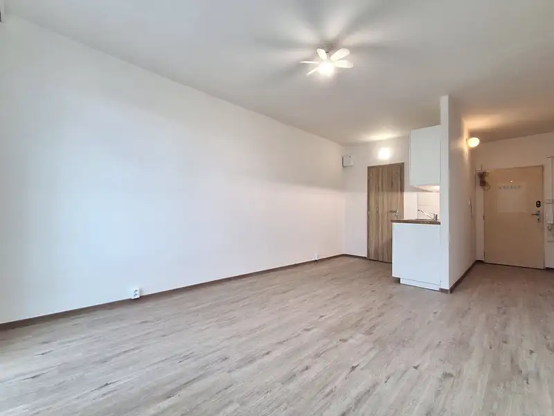 Pronájem bytu 1+kk 25 m², Ellerova, Strakonice – Strakonice I