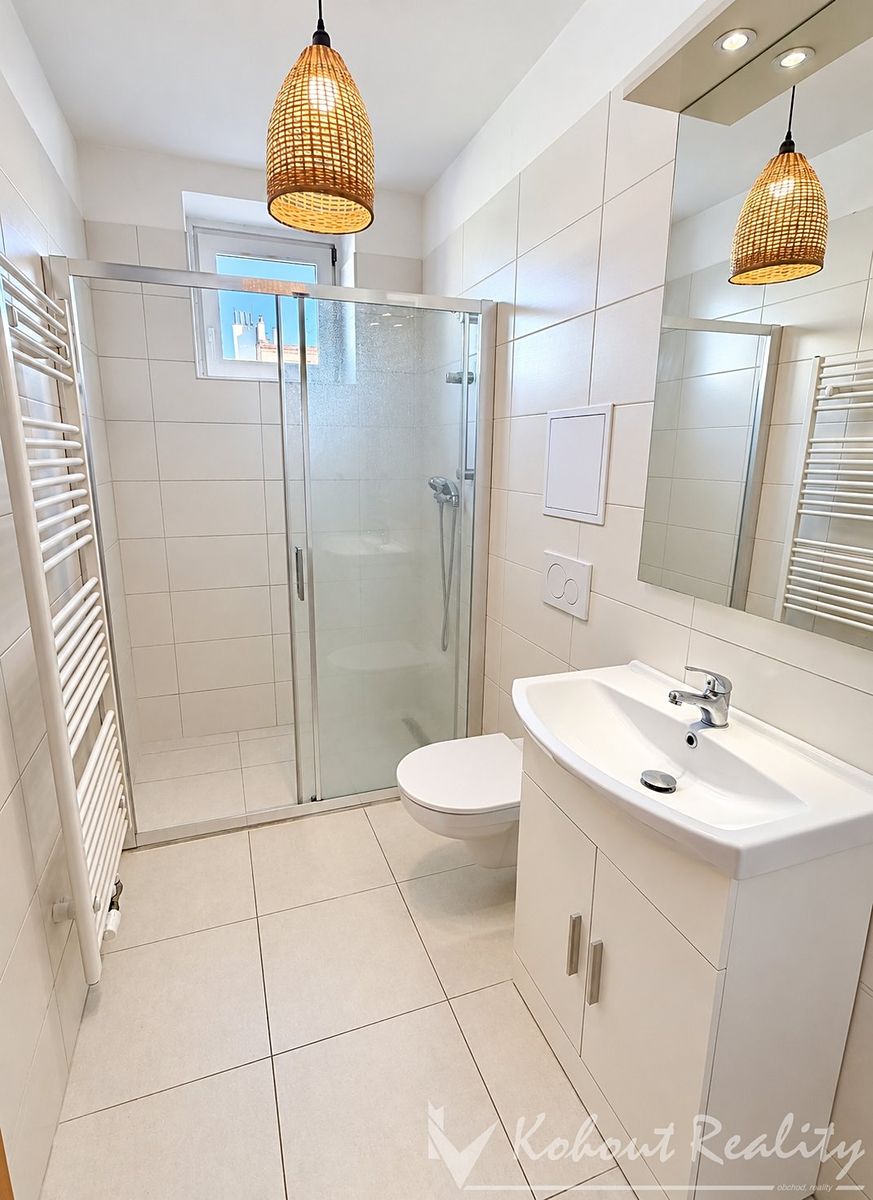 Pronájem bytu 1+1 50 m² – fotografie 3
