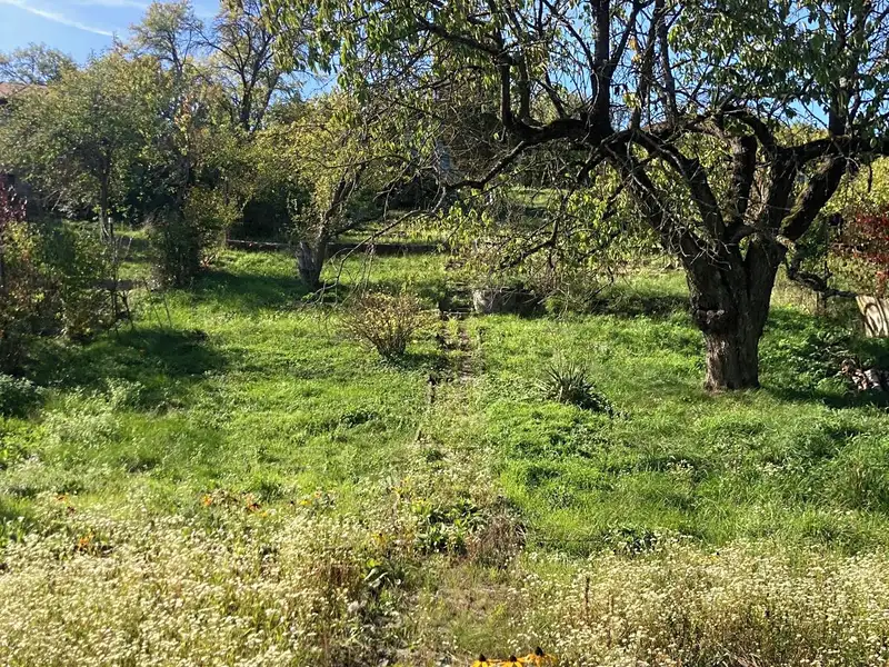 Prodej stavebního pozemku 1488 m², Brno – náhled fotky 1