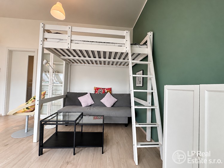 Pronájem bytu 1+kk, 44 m² (10 z 19)
