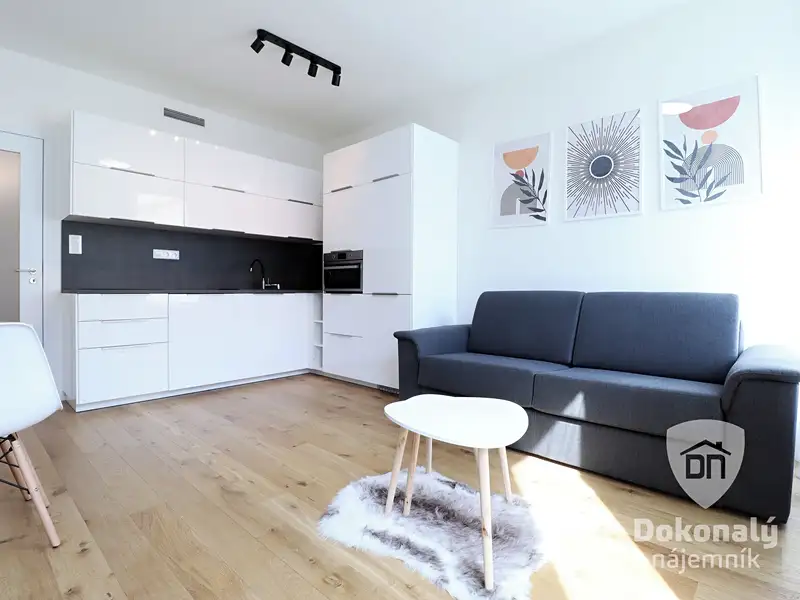 Pronájem bytu 1+kk 29 m², Praha – náhled fotky 2