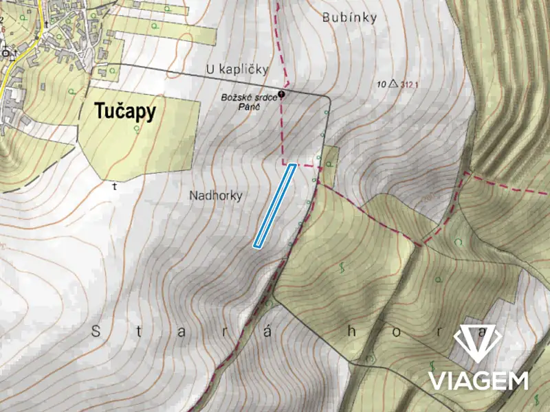 Prodej pole 2476 m², Tučapy – náhled fotky 3